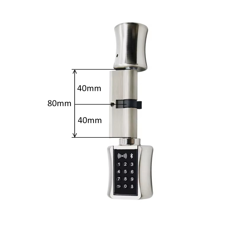 Ttlock Bluetooh Cylinder Smart Lock Remote Control Keyless Electronic Door Lock APP Wifi Digital Code RFID Card Lock