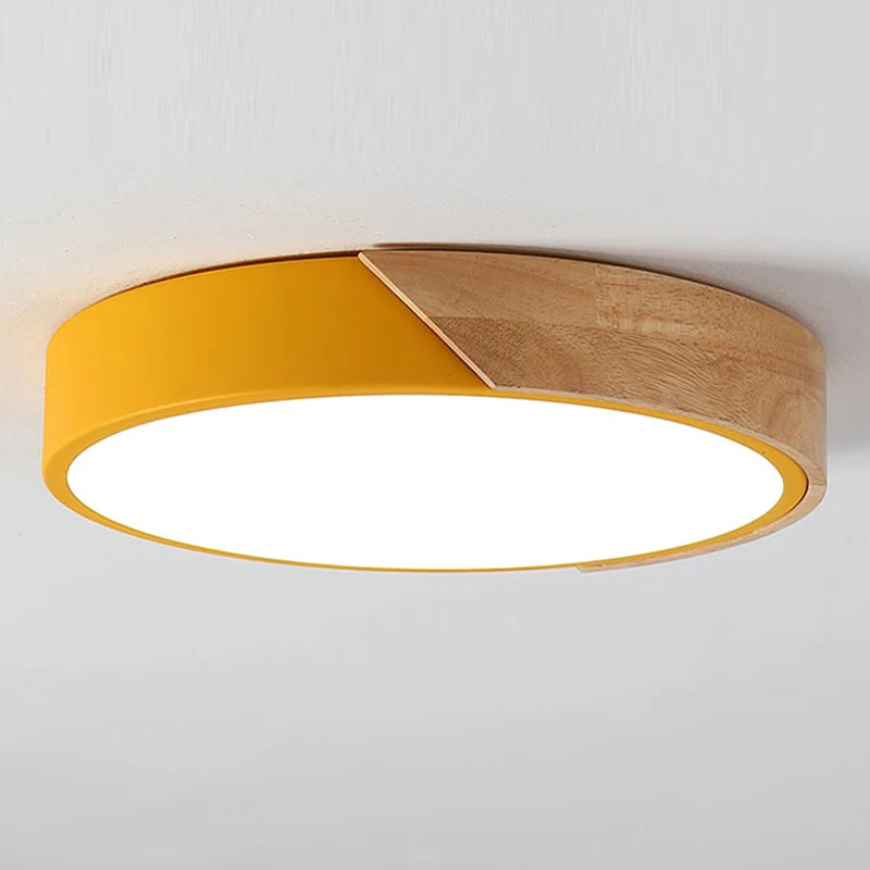 Energy Efficient LED Ceiling Light for Room Decoration - Living Room Bedroom Corridor Balcony Lighting Home Appliance