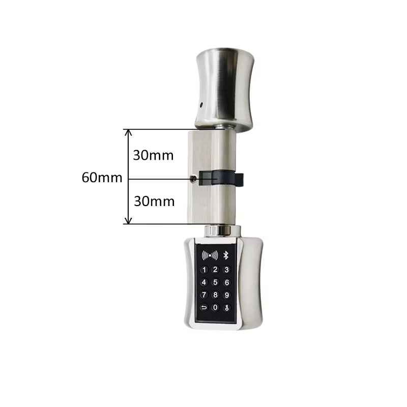 Ttlock Bluetooh Cylinder Smart Lock Remote Control Keyless Electronic Door Lock APP Wifi Digital Code RFID Card Lock
