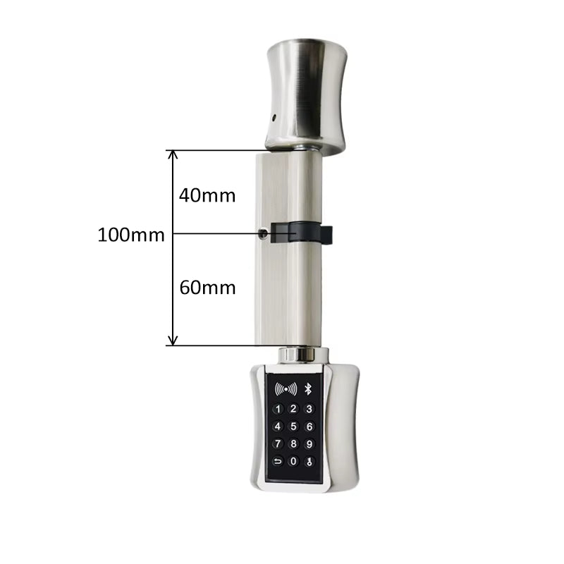 Ttlock Bluetooh Cylinder Smart Lock Remote Control Keyless Electronic Door Lock APP Wifi Digital Code RFID Card Lock