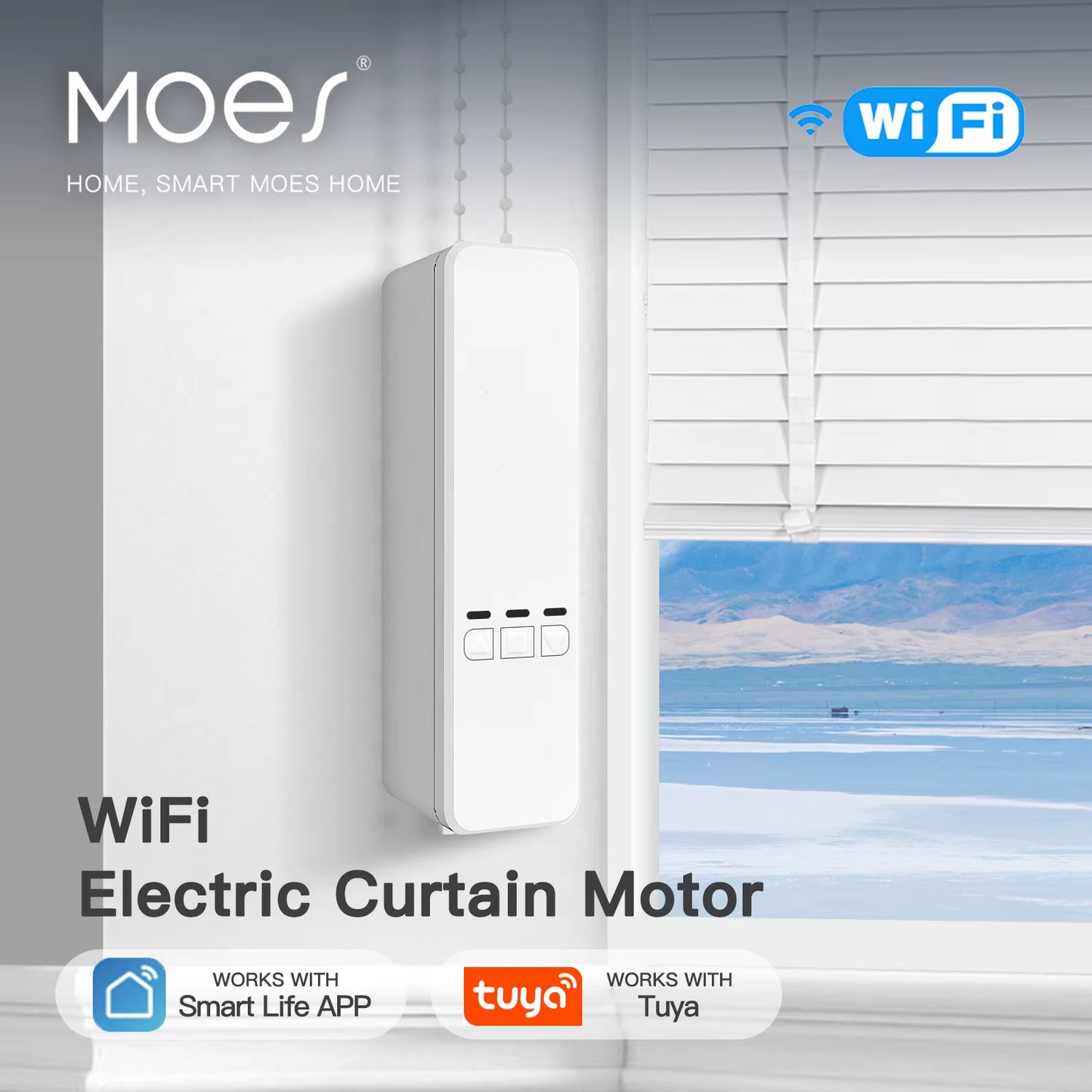 Tuya Wifi Smart Motor Electric Chain Roller Blinds Shade Shutter Drive RF Remote Kit Smart Life App via Alexa/Google