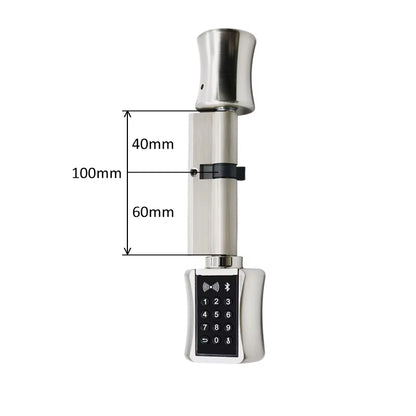 Ttlock Bluetooh Cylinder Smart Lock Remote Control Keyless Electronic Door Lock APP Wifi Digital Code RFID Card Lock